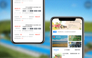 新五豐 生豬競價app開發